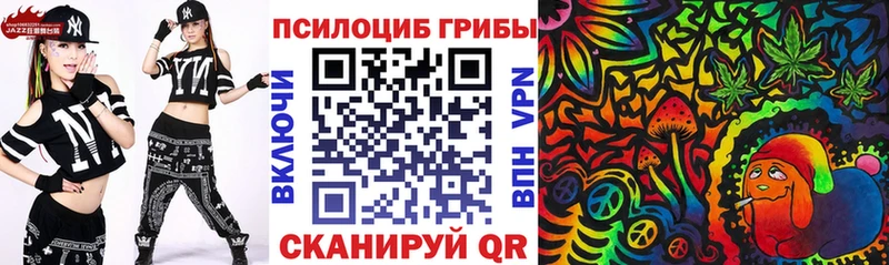 Купить закладки  Похвистнево  Псилоцибиновые грибы Psilocybe 